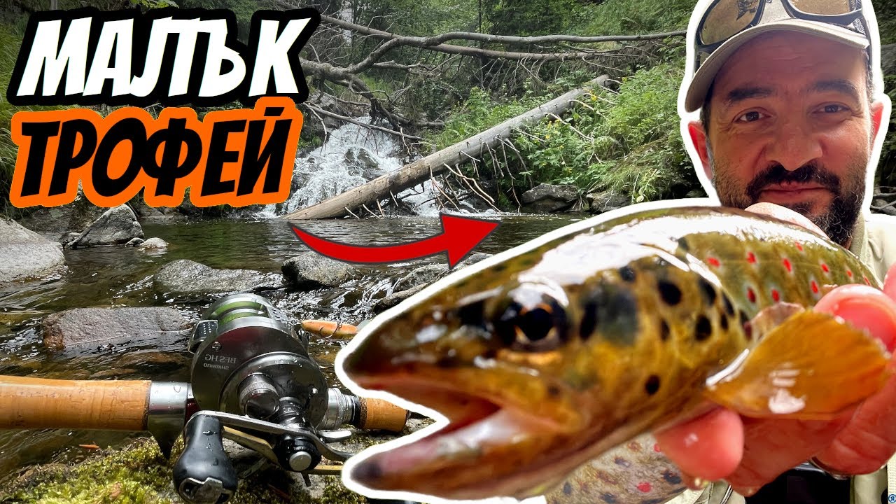 Ловя балканки с МИНИ ВЪДИЧКА!  Troutia 43L/C-T и  Риболов на пъстърва с BFS такъм!