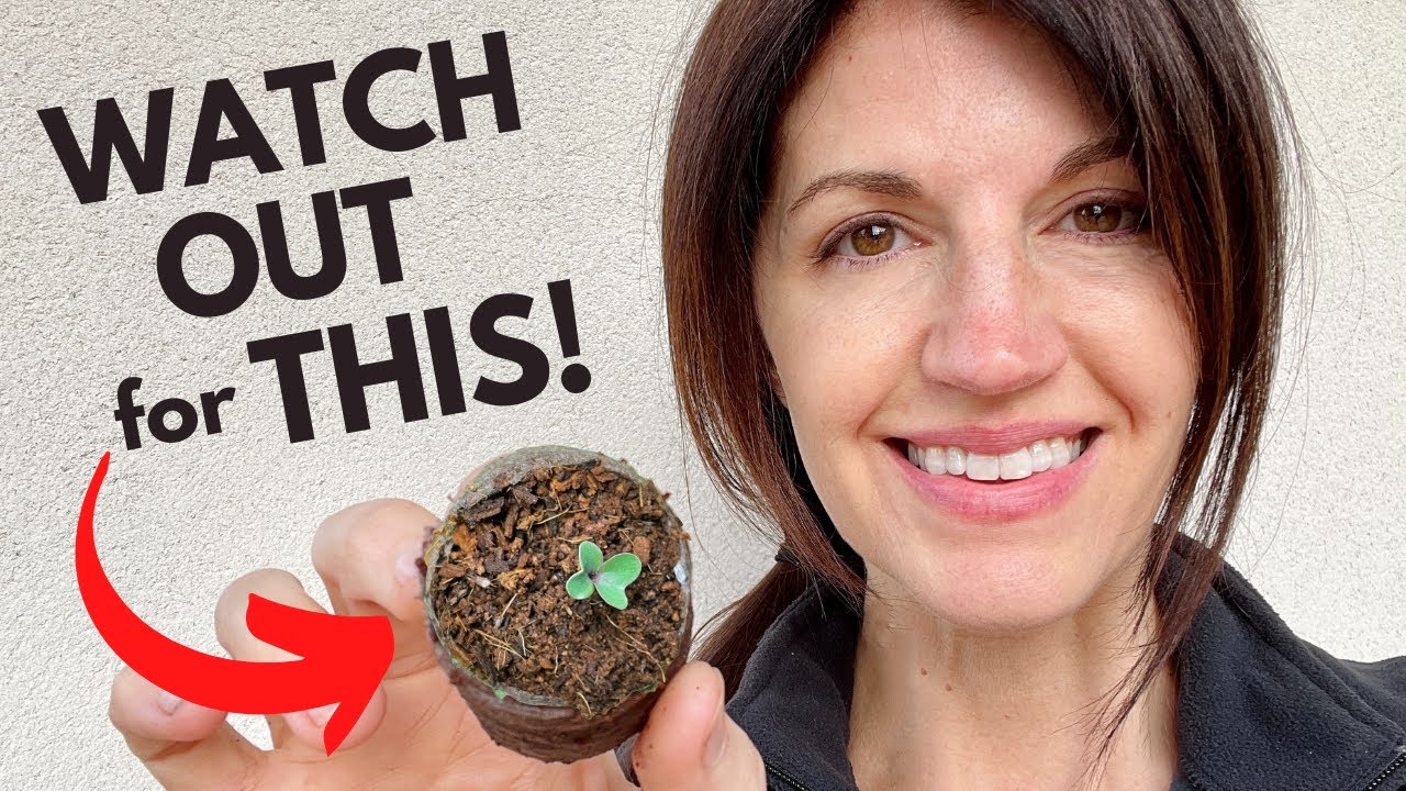 SEED STARTING & What You NEED to know about Coconut Coir
