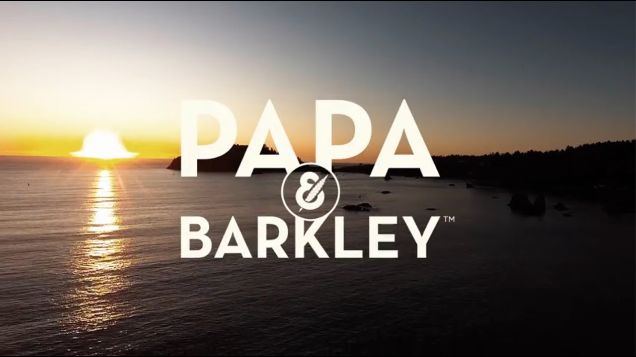 Papa & Barkley - Origin Story