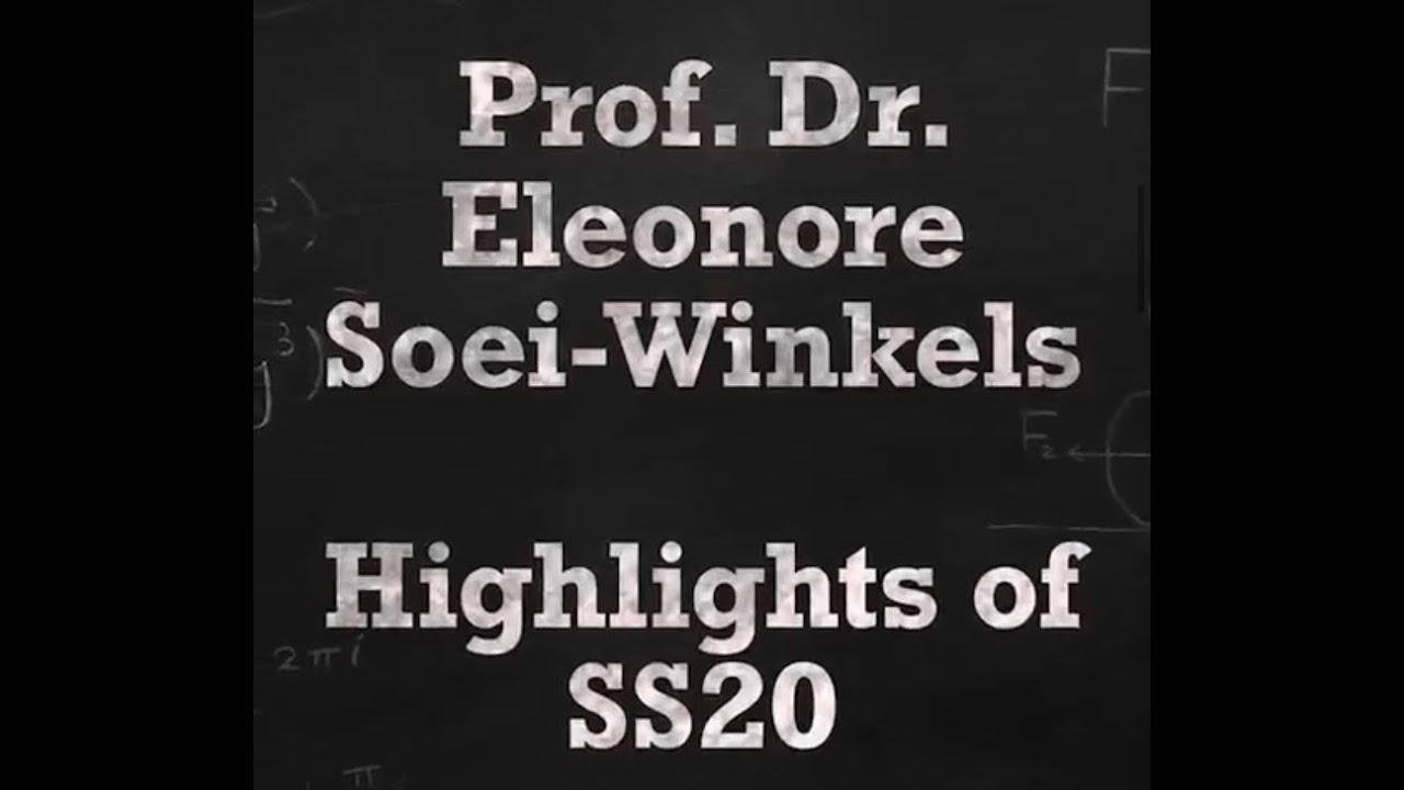 Best of Prof. Dr. Eleonore Soei-Winkels #Instagram Stories, #SS20 (Second #CoronaSemester)