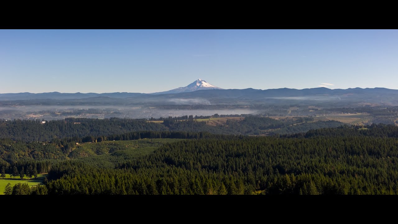 Pacific Northwest Executive Lodge Style Home On 42 Acres With Mountain & City Views!