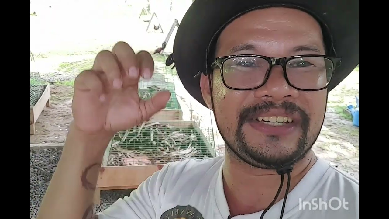Basic Facilities na mga Kailangan sa Gradas