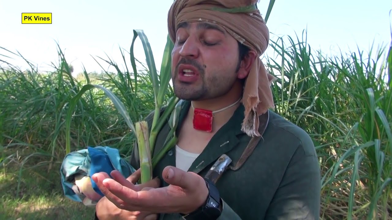 Da Pao Melawat Funny Video By PK Vines 2019 | PK TV