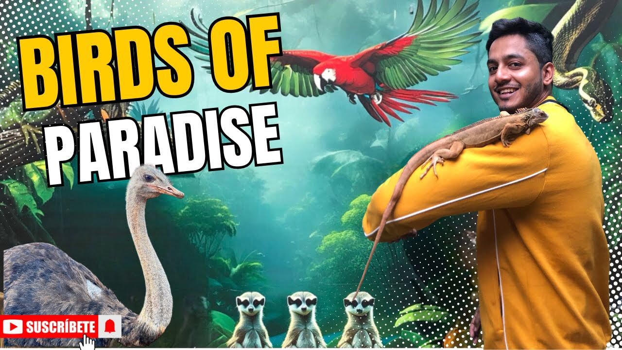 Let’s Explore Birds of Paradise in Bangalore! Is it worth visiting? Let’s find out.