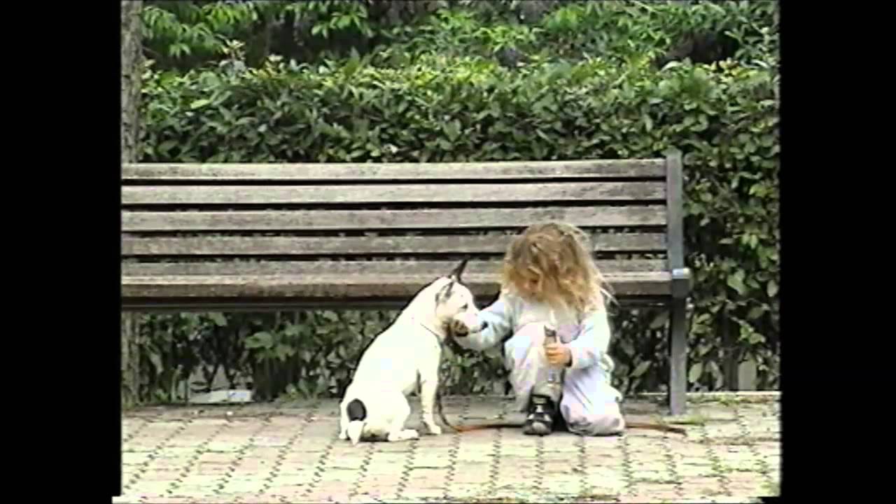 Pillole di educazione