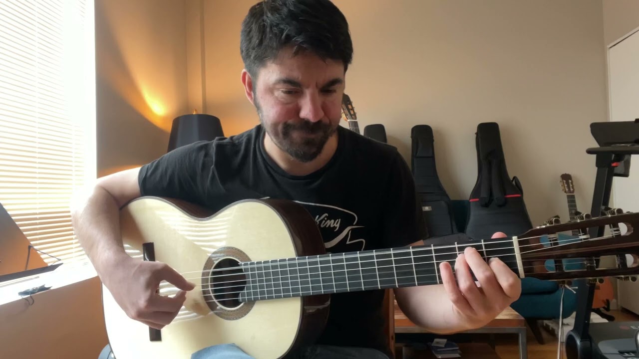 SAERS Guitar models A50 Spruce vs Cedar!