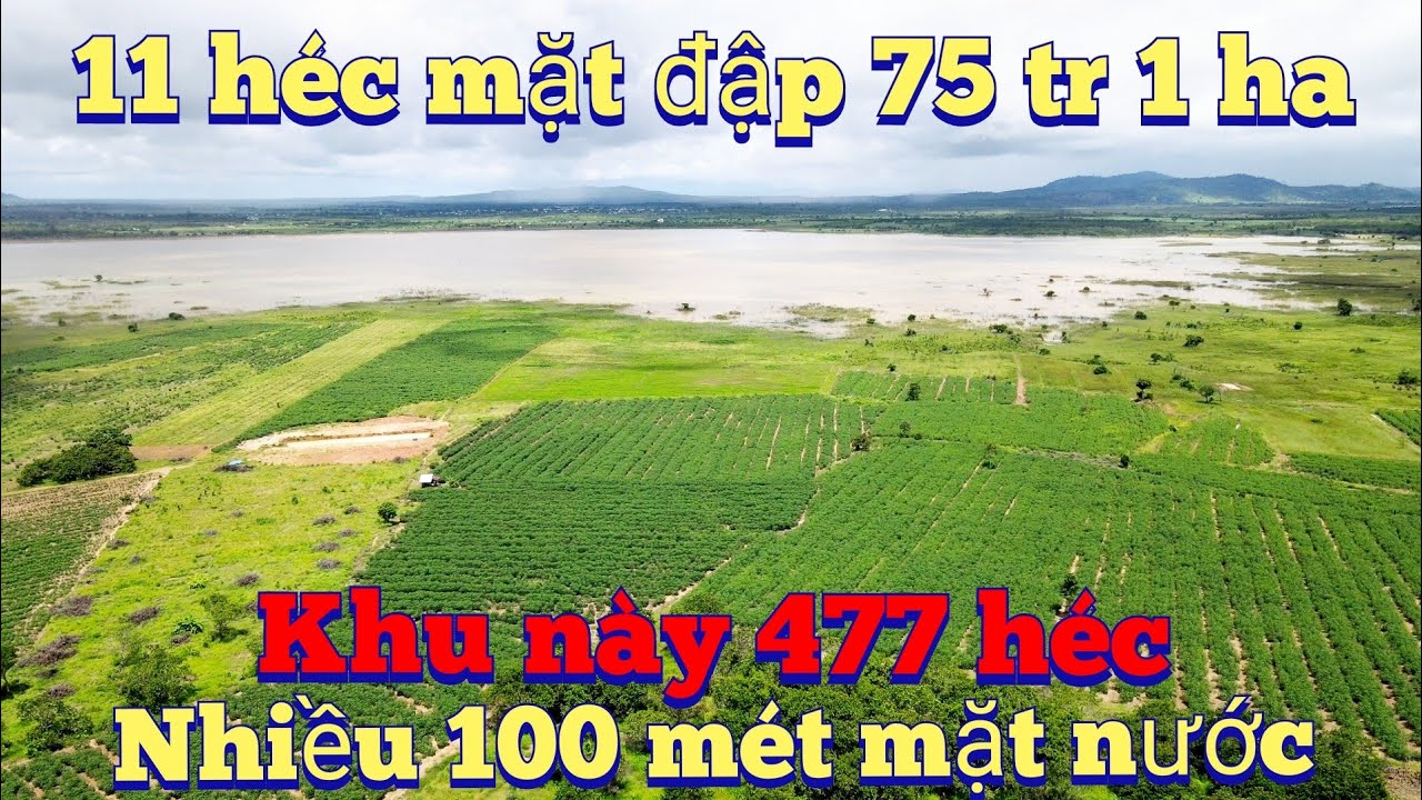 Cần nhượng 11 ha đất ôm mặt hồ lớn giá vài chục 1 ha, lh 0983803253