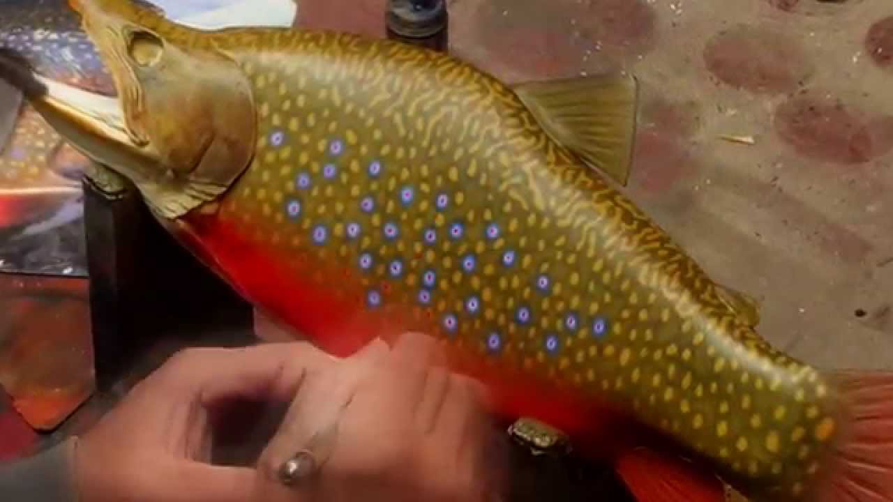 'Fish Art' Creating a Reproduction Fish-Mount (Time-Lapse)