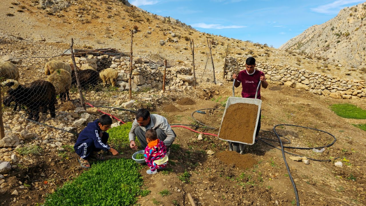 ☘️🧅🍆🍅🥦IRAN nomadic life | Nader plowing the garden with animal manure to prepare for the new season