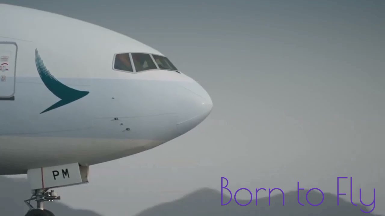 ✨️💫Aviation lovers|| Future Pilots ||❤Short Video ❤✈️💫