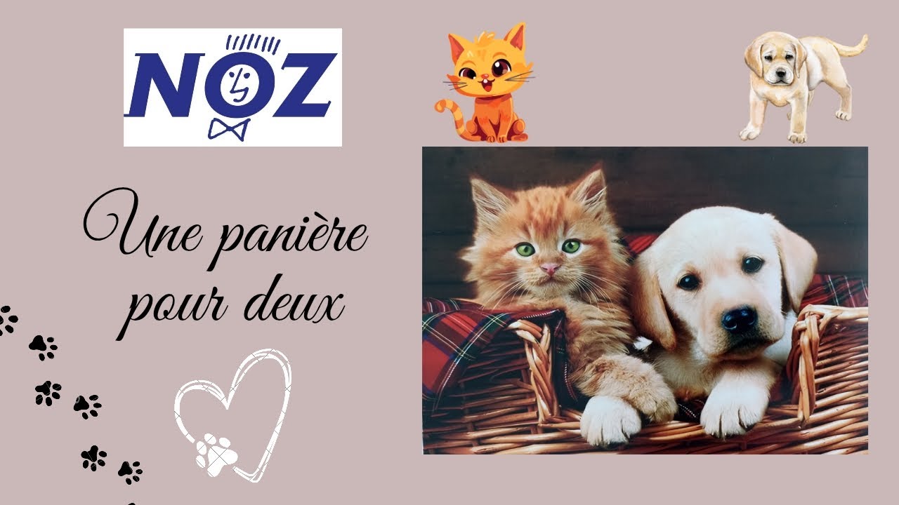 Moment broderie #noz #nozarrivage #pointdecroix #crossstitch #stampedcrossstitch