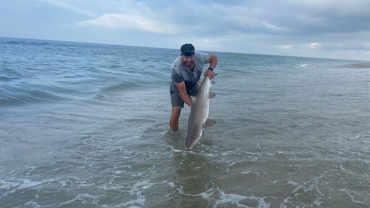 Sand Tiger Shark! 6/26/25 Summer is Here!