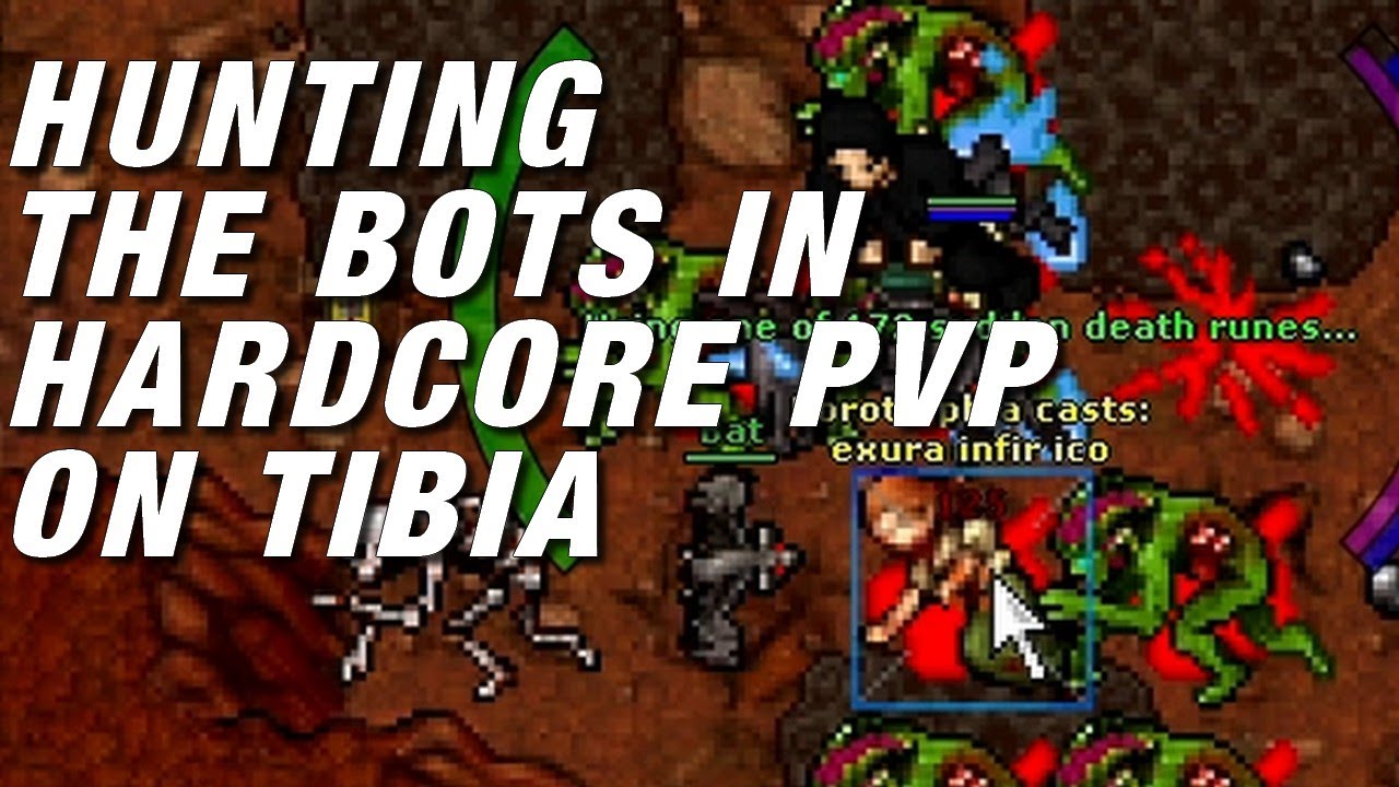 I invaded a hardcore PvP server in Tibia to hunt bots. (NO COMMENTARY)