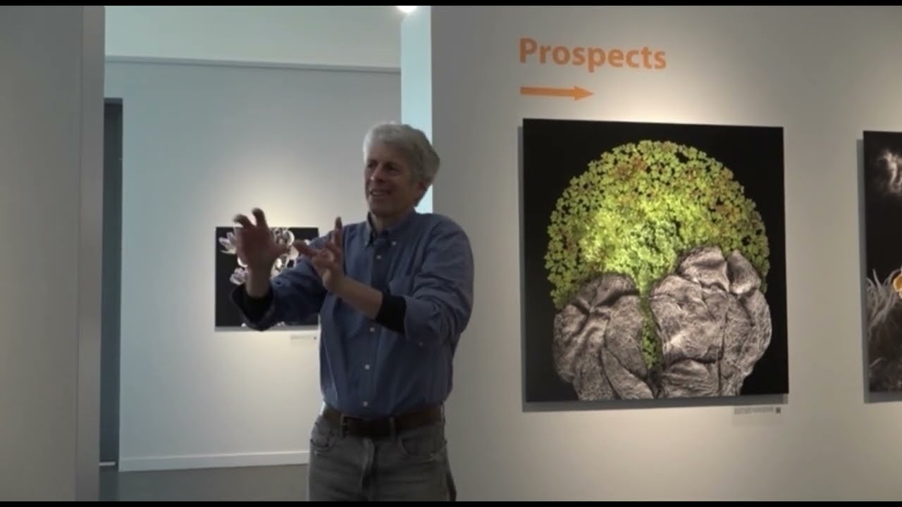 Robert Dash - Food for Thought - 2019 Exhibit - Docent & Gallery presentation.