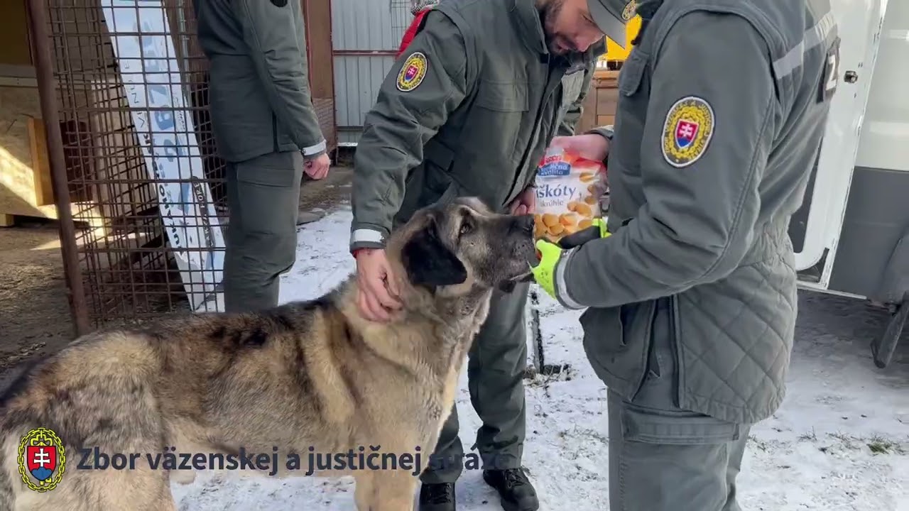 ZVJS pokračuje v pomoci &uacute;tulkom