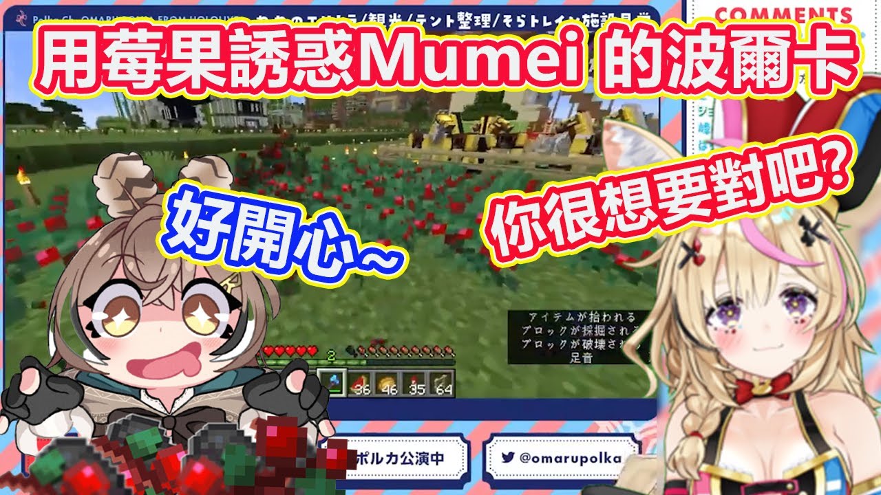 波爾卡用莓果誘惑Mumei! 你很喜歡這些吧？！Mumei看到後好開心~ 【Hololive 中文精華】