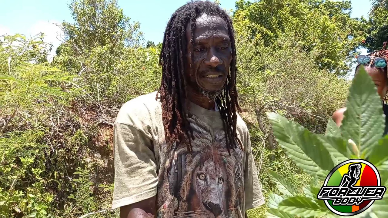 Healing With Herbs In Jamaica, Holistic Herbal Remedies, herbal medicines in the Caribbean