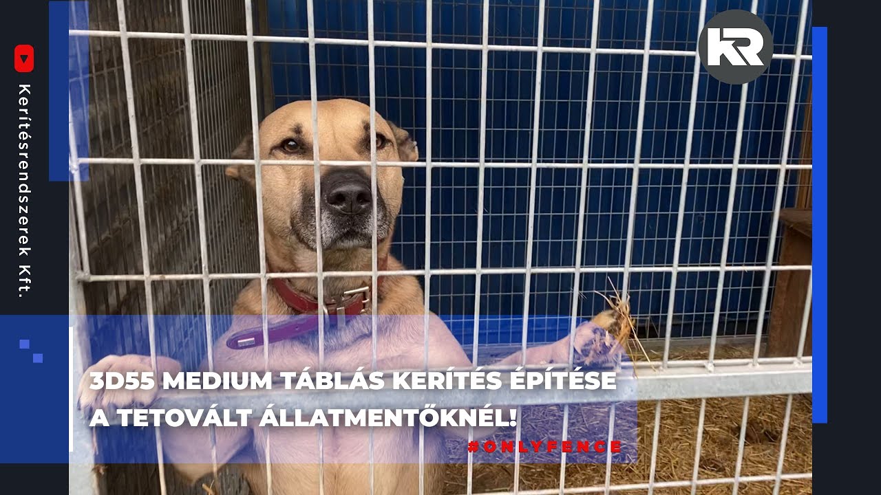 3D55 Medium kerítésrendszer telepítése kapukkal a Tetovált Állatmentőknél - Kerítésrendszerek Kft.