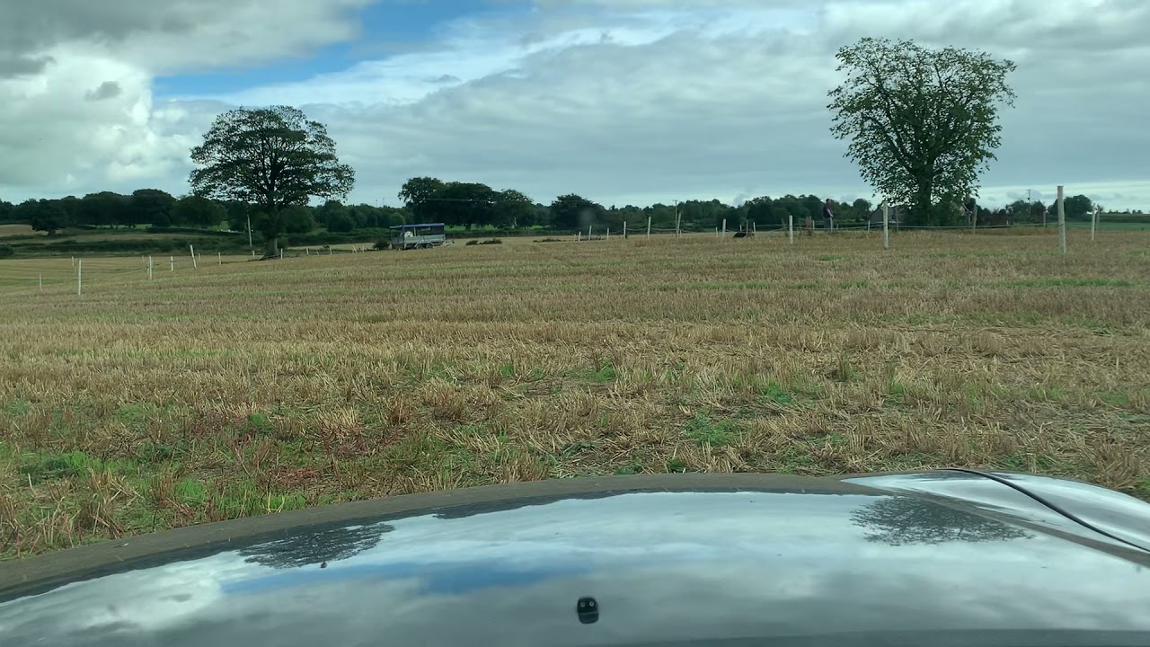 Windmill track, Ballyrobert Rd