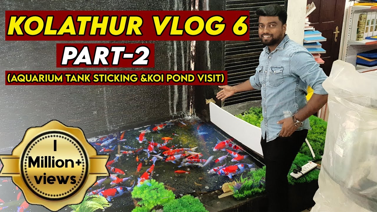 Kolathur Ornamental fish and Pet Market Vlog 6 |வண்ண மீன்கள் தமிழ் | Part 2