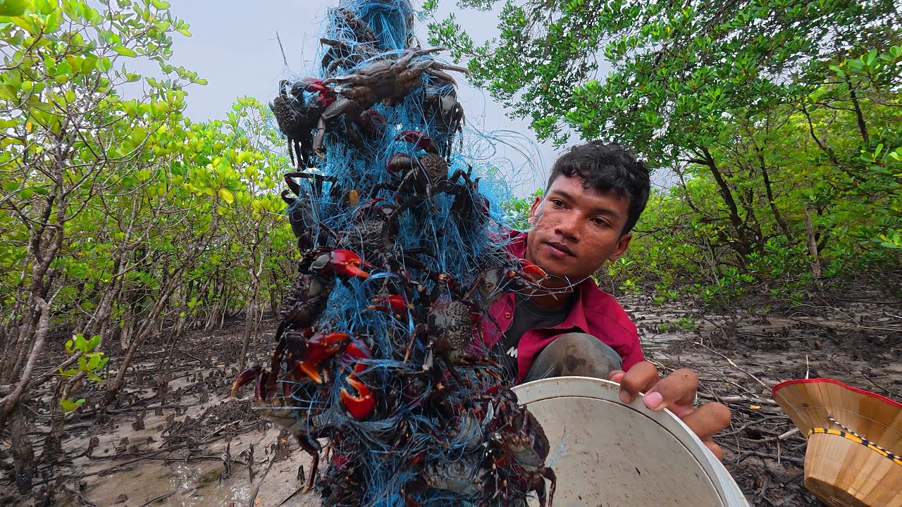 We Caught So Many Crabs Today! | ថ្ងៃនេះរកក្ដាមបានច្រើនគួរសម