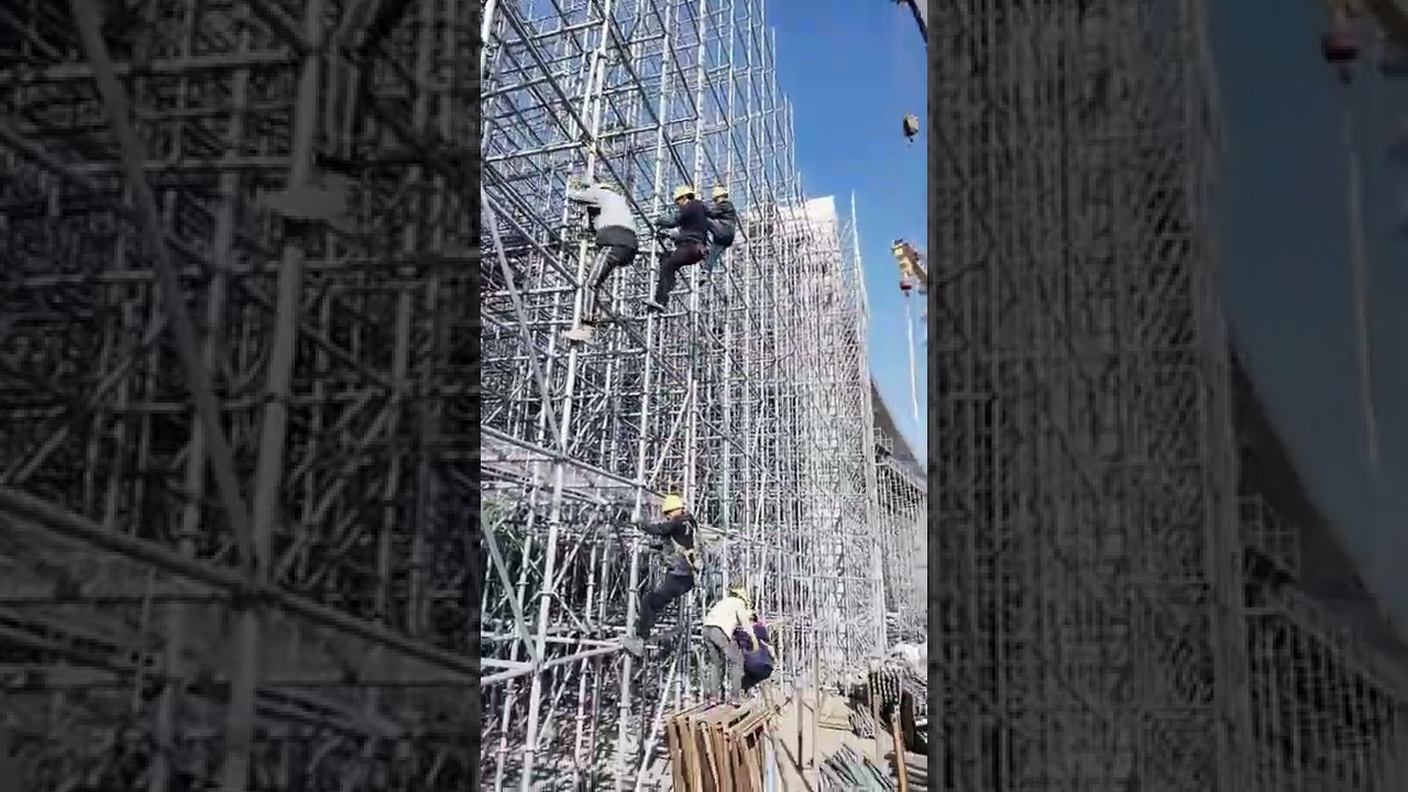 Scaffolder | Scaffolding#shorts