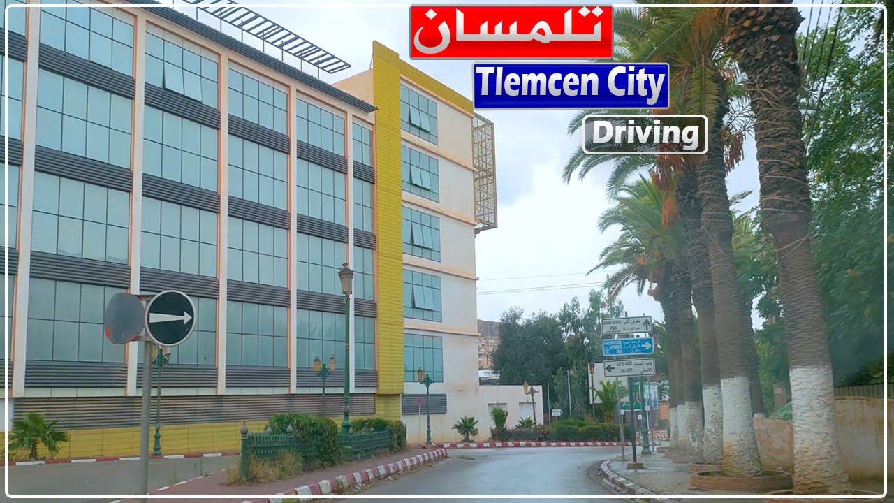 جولة بالسيارة في بعض شوارع مدينة تلمسان.. من شارع العربي بن مهيدي إلى شارع العقيد لطفي