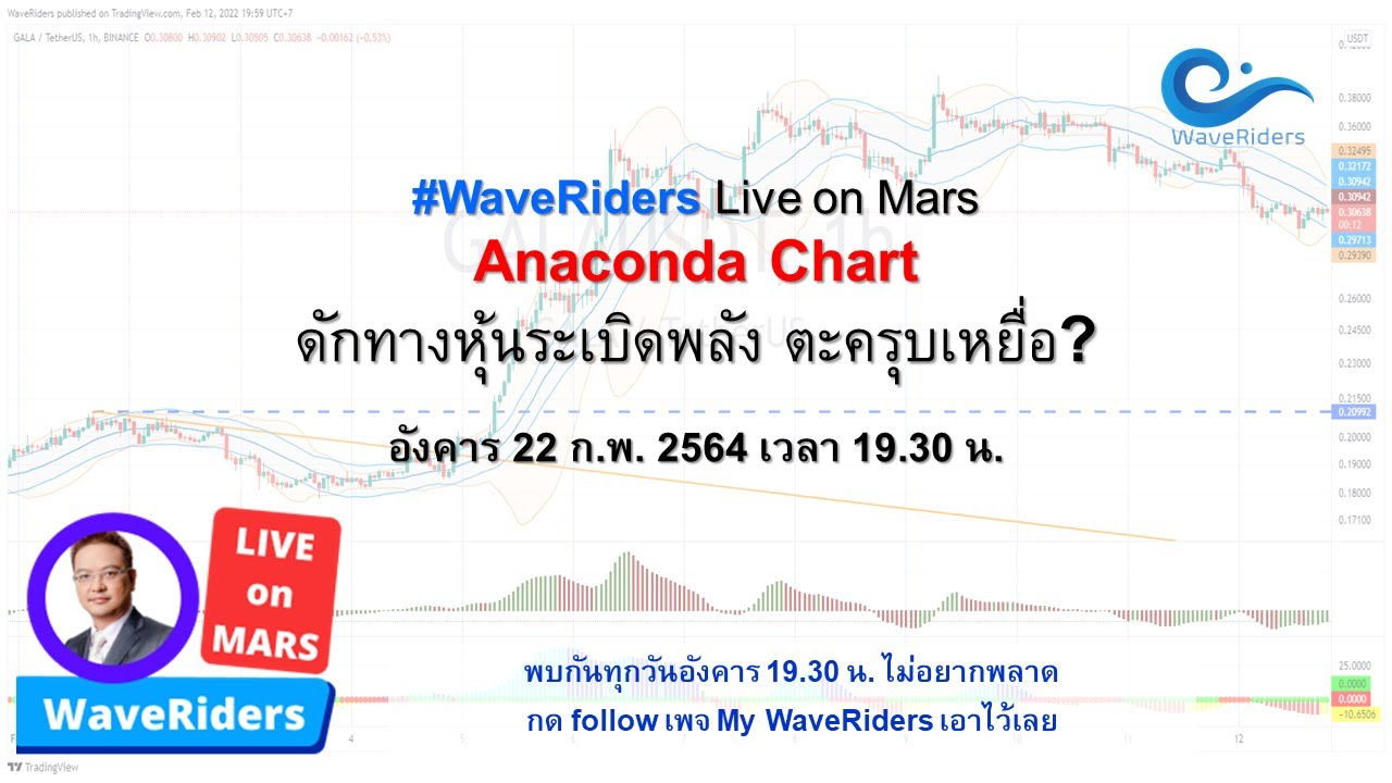 #WaveRiders Live on Mars  ..22022022 .. Anaconda ออกล่าเหยื่อ