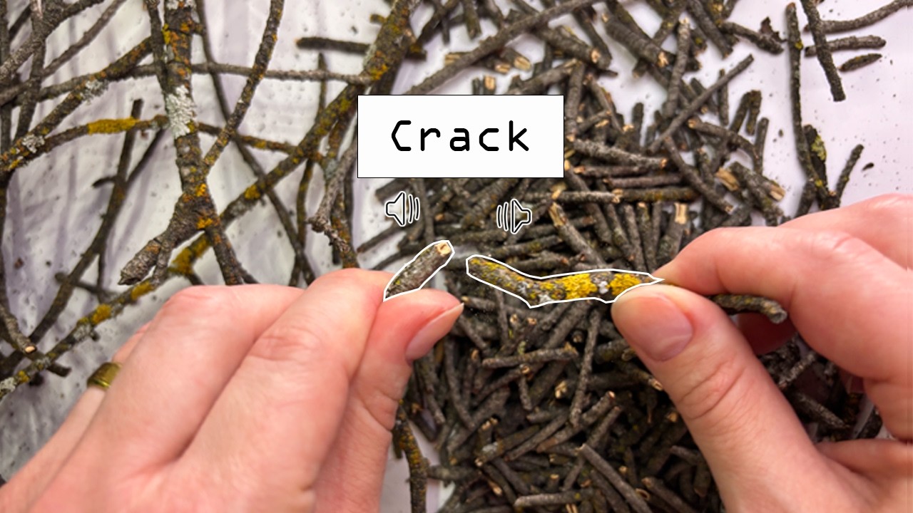 You Won't Believe How Satisfying Breaking Dry Twigs Sounds | ASMR | No Talking | Cracking