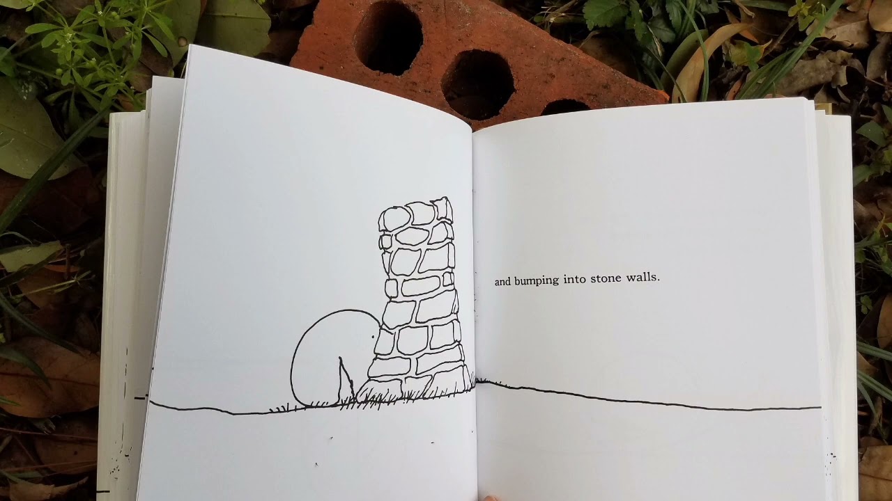 The Missing Piece | Shel Silverstein | Read Aloud