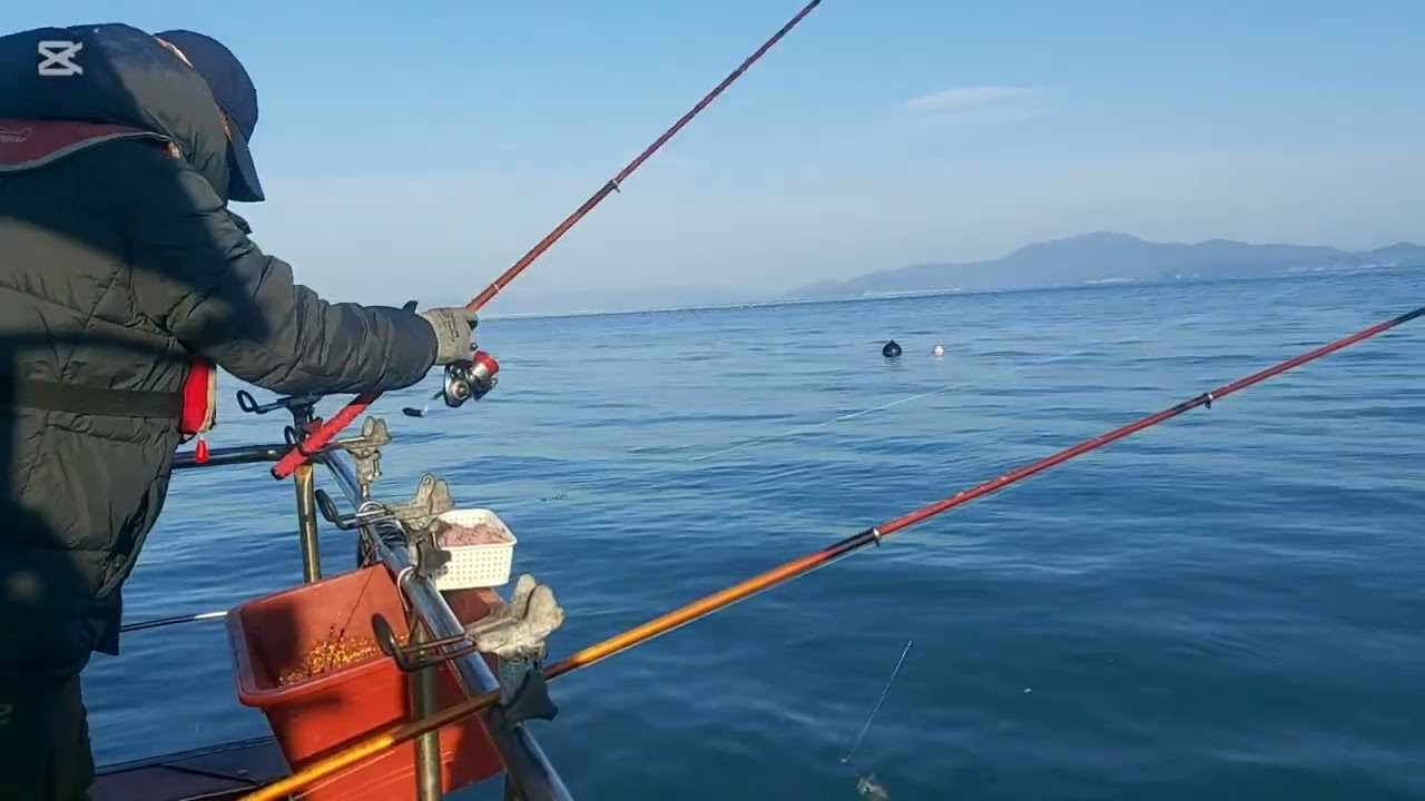 대모도와 내만 감시