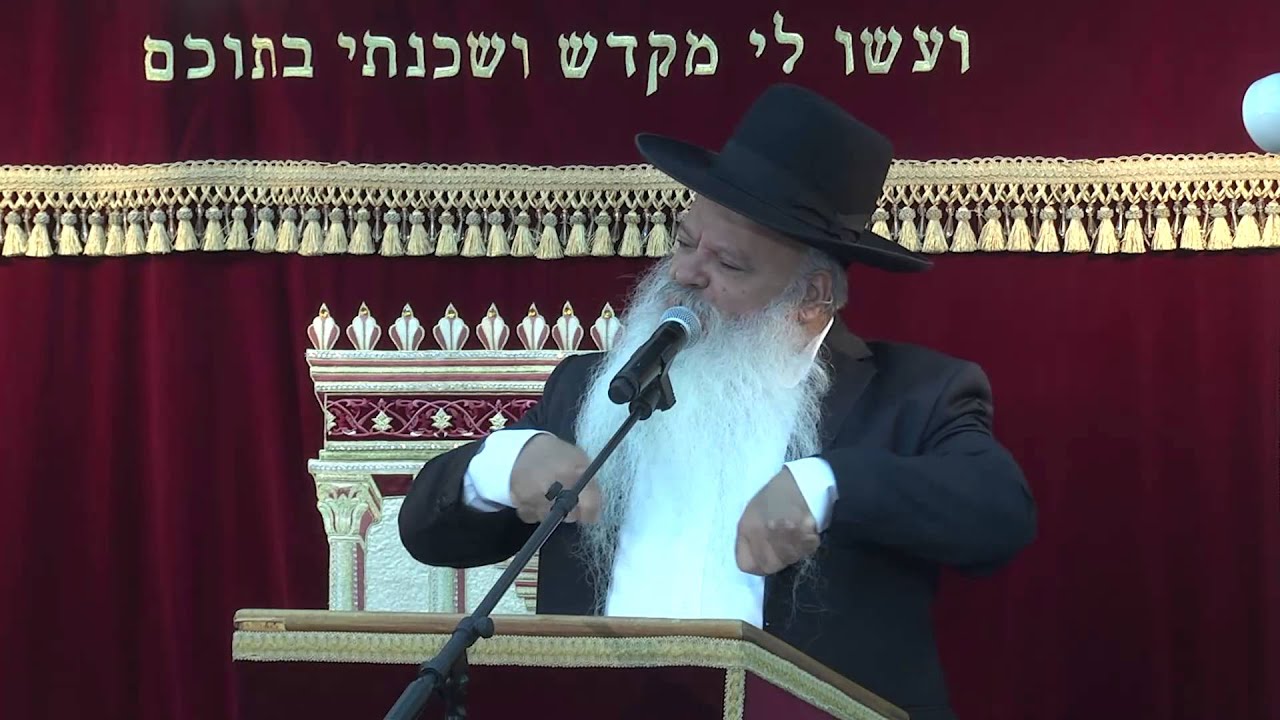 כל המרחם על הבריות | הרב דניאל זר