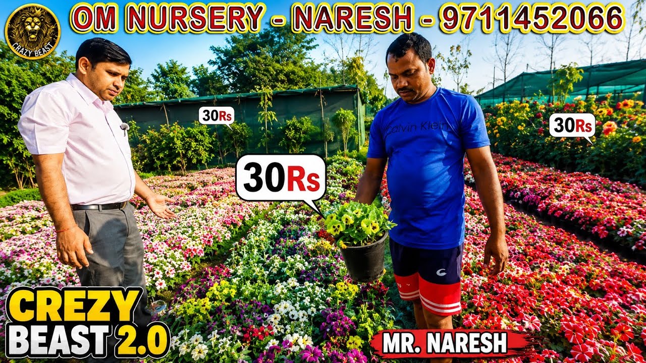 Om Nursery | 