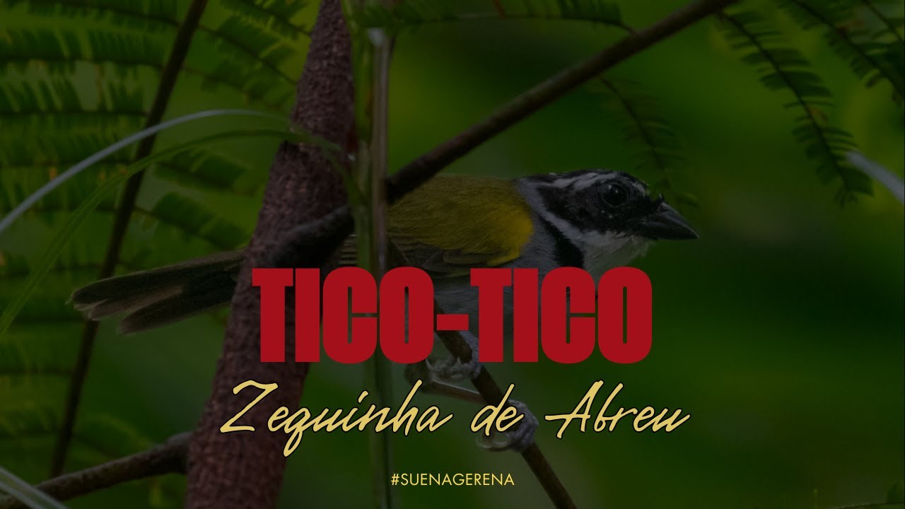 Tico-Tico (Zequinha de Abreu) | Banda de Música de Gerena