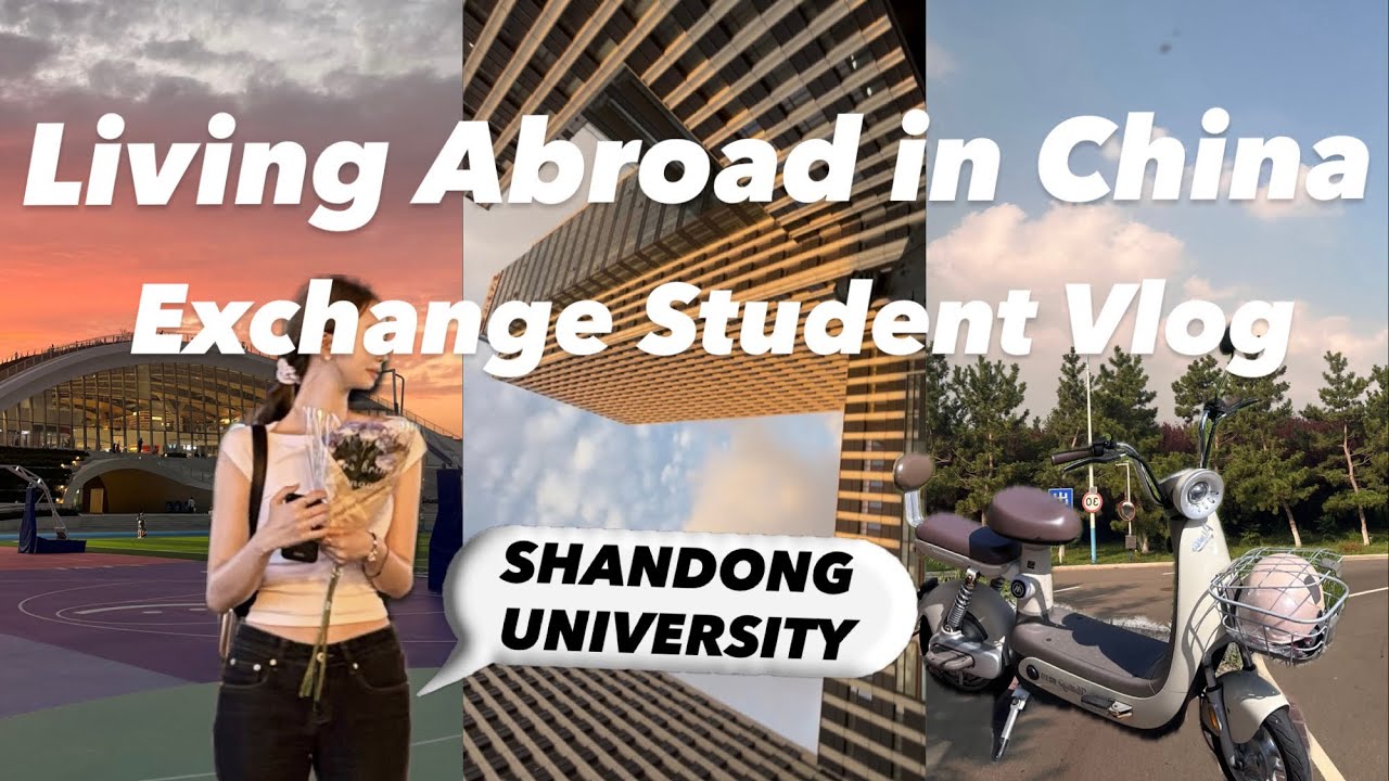 Life in WEIHAI 🌇  |  Exchange Student  in China 📖 | 웨이하이 교환학생 🌃| 중국 교환학생 🇨🇳| 산동대학교 🐉 | 교환학생 브이로그, 개강