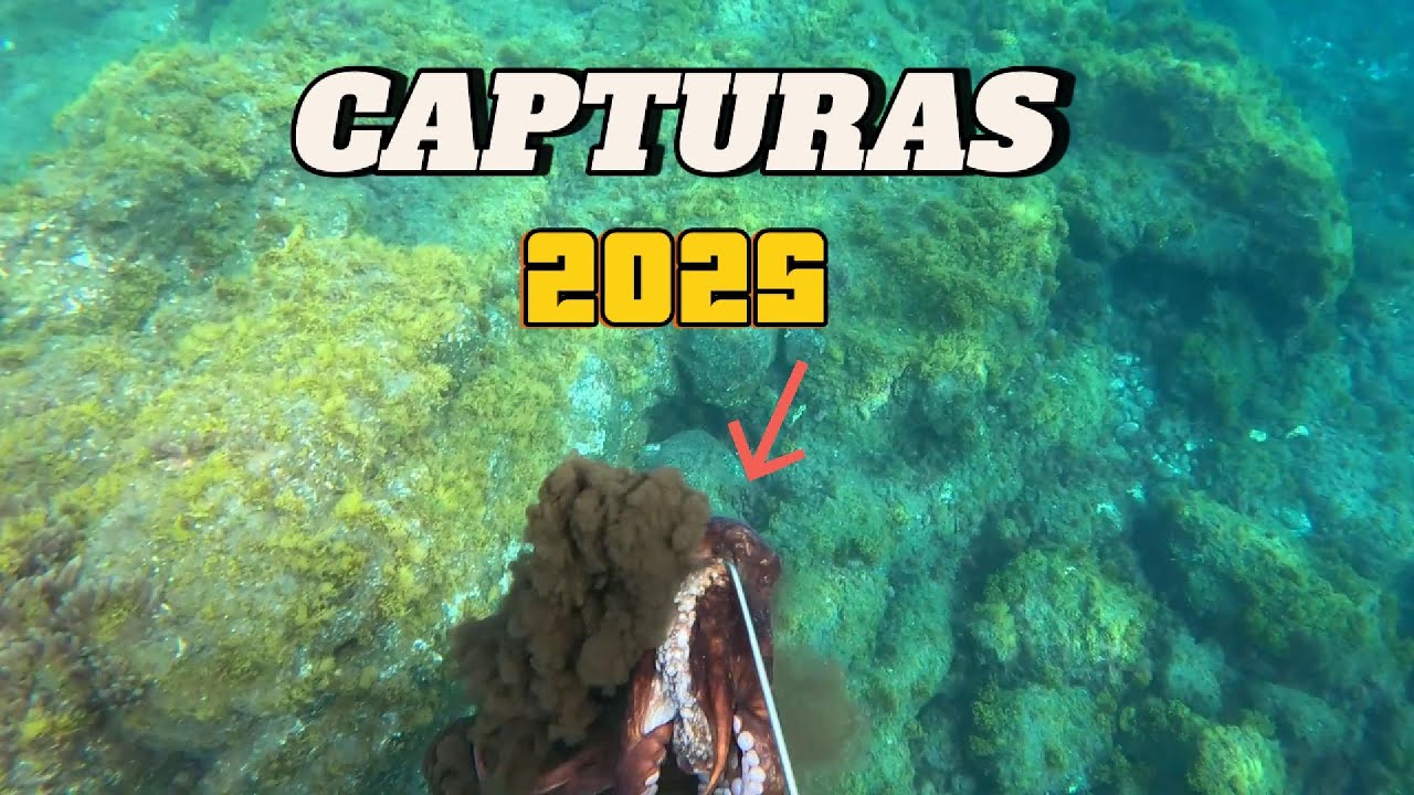 TODAS mis CAPTURAS de PESCA SUBMARINA en 2025 🔥