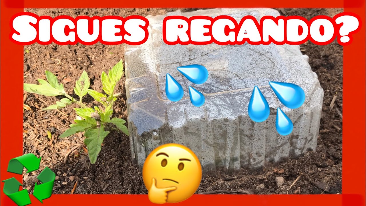 💦💦♻️3 TÉCNICAS DE RIEGO CASERO QUE NO PUEDEN FALTAR EN TU HUERTA♻️