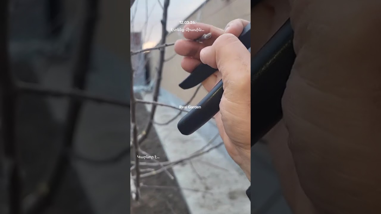 Ծառերի էտի մասով...