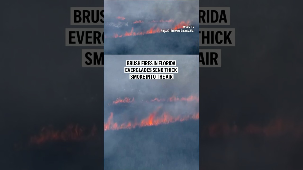 Brush fires in Florida Everglades send thick smoke into the air