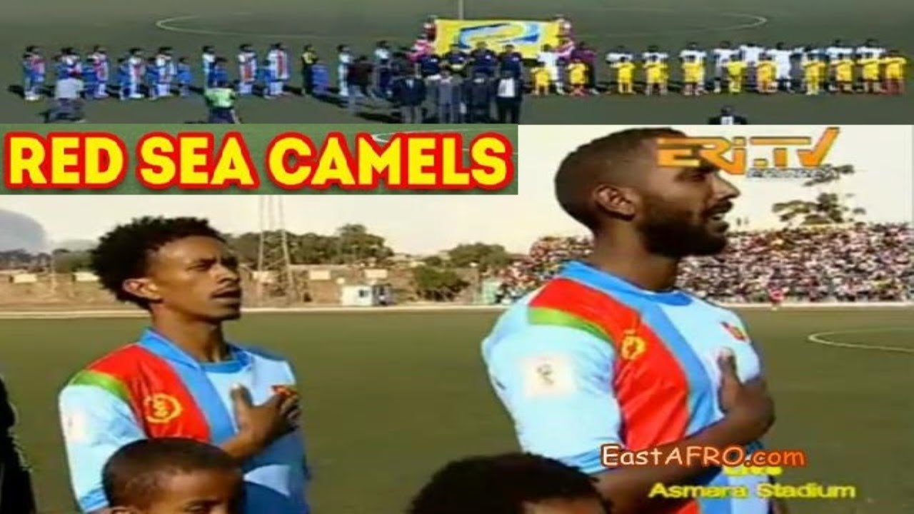Eritrea Vs Botswana Soccer ERiTV Game (October 10, 2015)