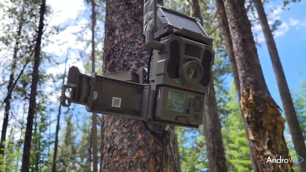 Tactacam vs Spypoint External Antenna | Cellular Trail Camera Video