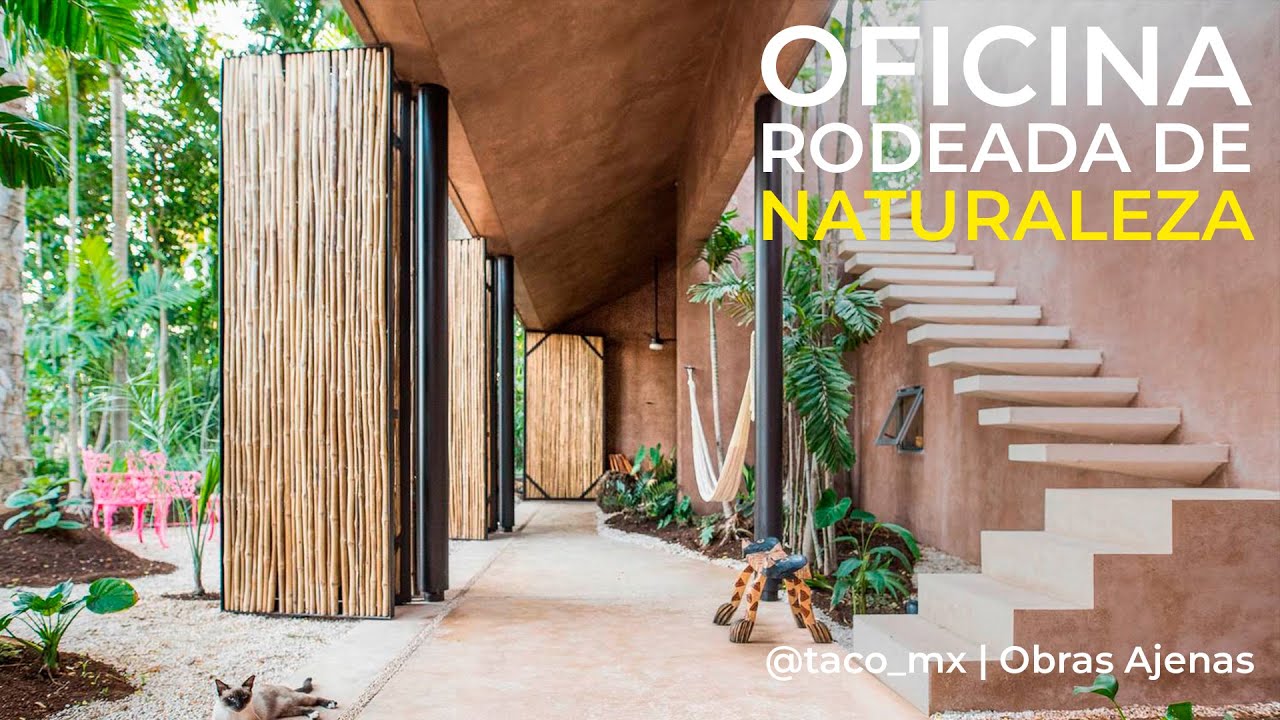 OFICINA RODEADA DE NATURALEZA | @TACO Taller de Arquitectura Contextual | PARTE 1