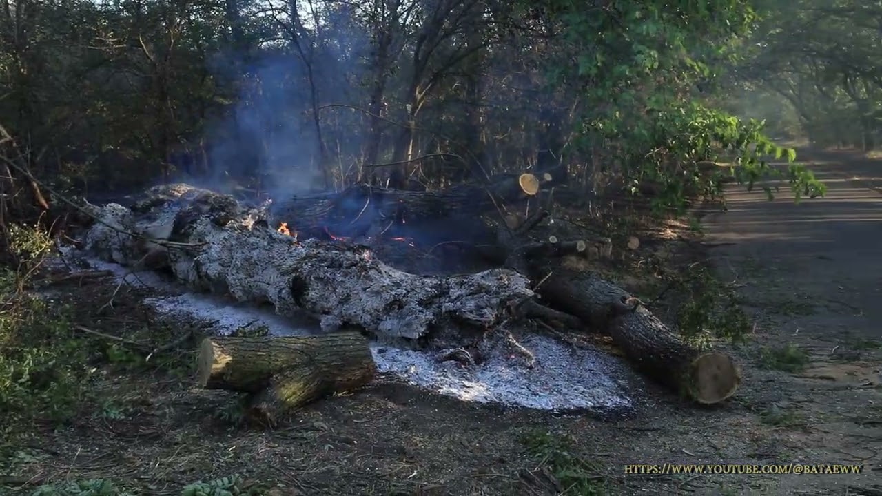 Хортиця 21 08 2025