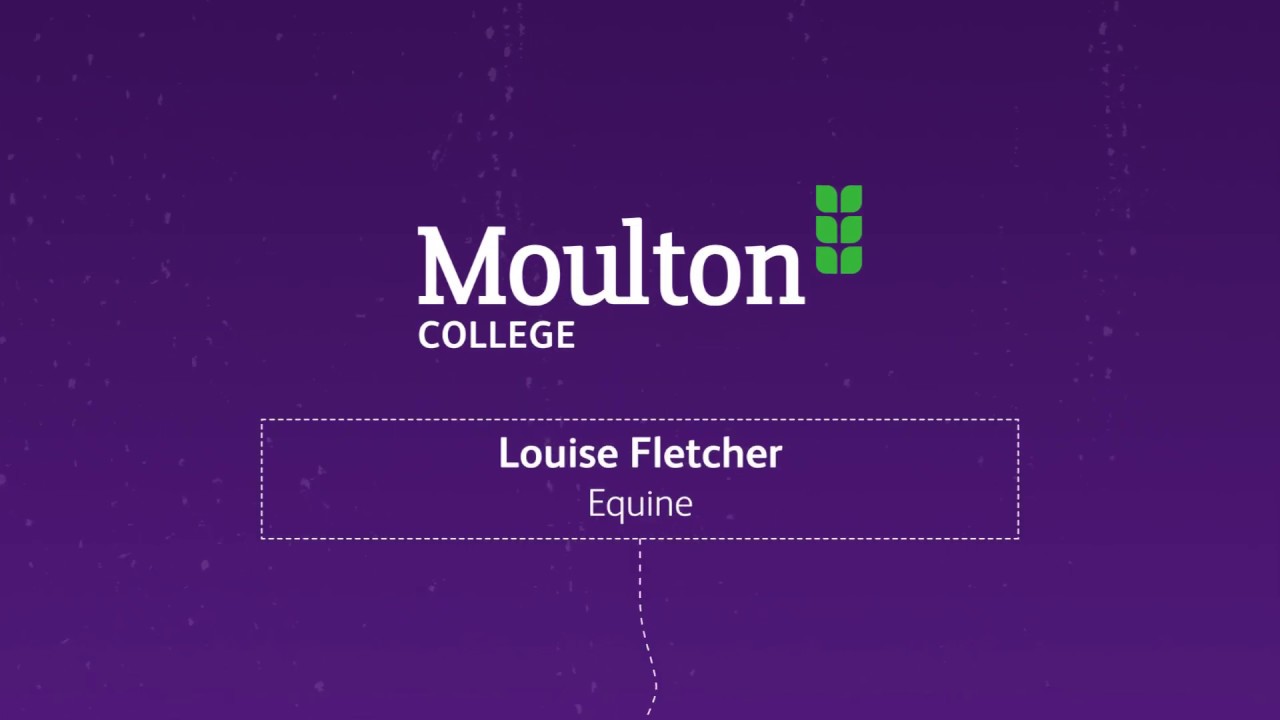 Your essential guide to studying Equine Studies at Moulton College.