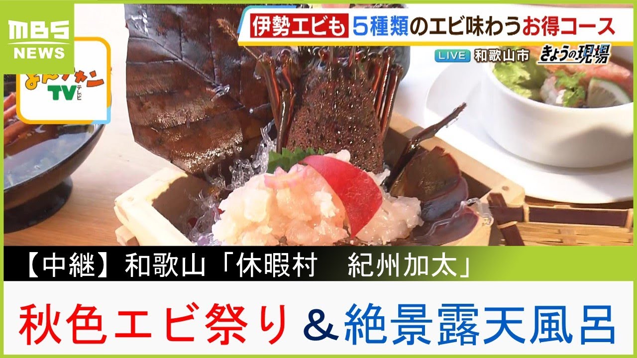 『休暇村 紀州加太』へ！今が旬「伊勢海老」のお造りも味わえる秋色エビ祭り＆絶景露天風呂　近隣の観光スポットもご紹介！【現場から生中継】（2023年9月20日）