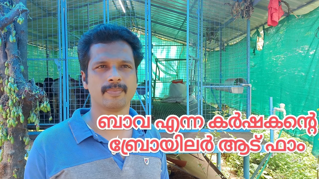 ബ്രോയിലർ രീതിയിൽ ആട് വളർത്തുന്ന ബാവ എന്ന കർശകന്റെ ഫാമിലെ വിശേഷങ്ങൾ.