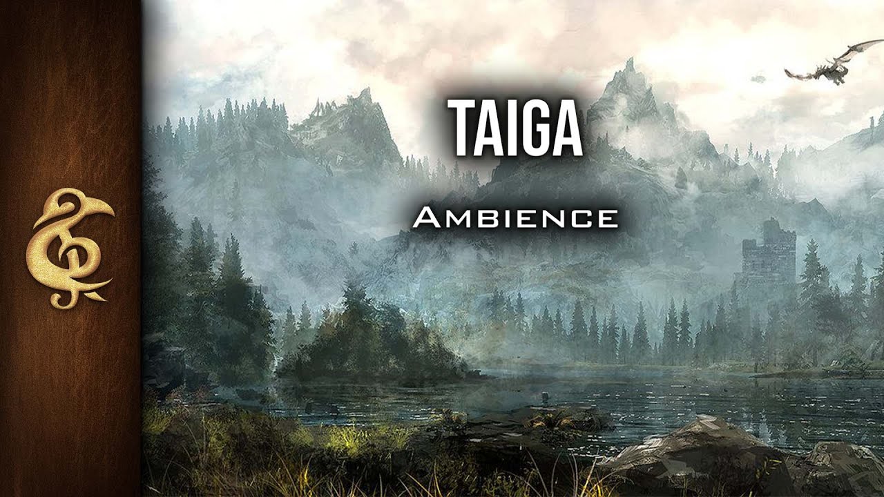 Taiga | Cold Forests, Skyrim, Nature Ambience | 1 Hour #dnd