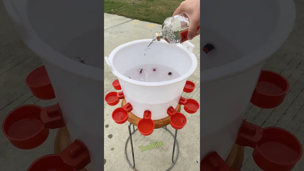 Easy Poultry Watering Solution | Automatic Water Feeder Demo #diytools