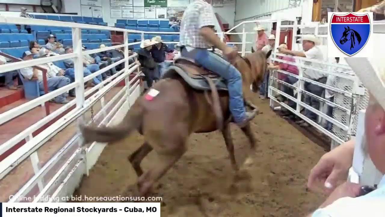 Interstate Regional Stockyards - Cuba, MO