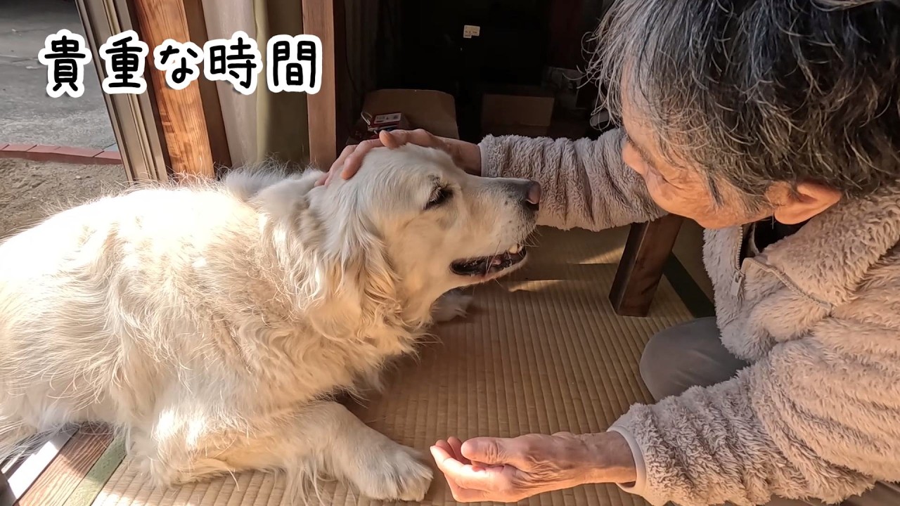 83才と5才の貴重な時間・・・。　#メイちゃんねる